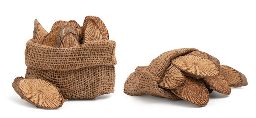 Ficus foveolata Wall wood isolated on white background with clipping path.