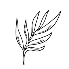Leaf in doodle style vector illustration. Natural plant element isolated on white background.