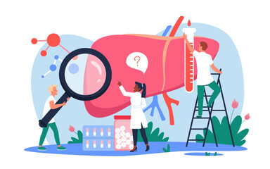 Medical research and study of patients liver by tiny doctors vector illustration. Cartoon people holding magnifying glass and test tube with donation blood, hepatologists analyzing disease and problem
