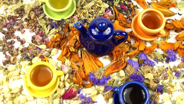 Various colorful herbal tea collections in the multicolored porcelain cups and organic dried flowers for tea on white background