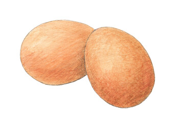 茶色の卵2個　水彩色鉛筆イラスト