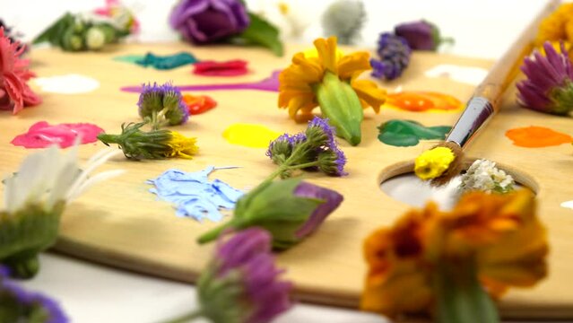 Creative background with artist's palette and various fresh flowers are on a table.  Carnation, chrysanthemum, chamomile, mallow, calendula, marigold and bright paints on a artist's wooden palette