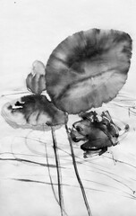 Frog and water lilies. Oriental traditional painting in style sumi-e, u-sin and gohua. 