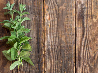 a bunch of fresh mint on a wooden table. Healthy food concept. © Максим