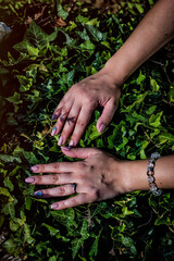 bride and groom holding hands