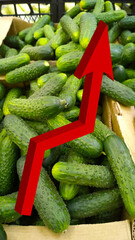 Red 3d growing up large arrow on green cucumbers background. Vegetables in local farmers market or supermarket. Supply products. Retail industry. Problem of rising food price. Inflation concept.