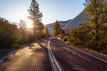 Fototapeta premium Scenic Road in American Mountain Landscape. Sunny Morning Sunrise Sky. Zion National Park, Utah, United States of America. Adventure Travel