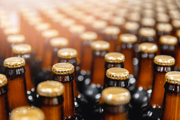 Banner set brown bottles with beer on conveyor line. Concept kraft brewery shop market