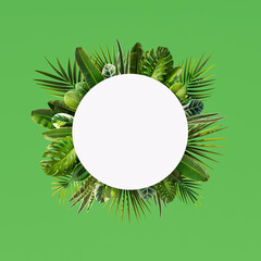 Empty white mock up circle with with many palm and other leaves on green background 3D Render 3D Illustration