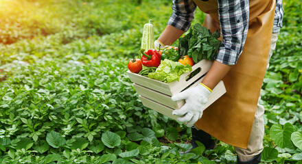 young man holding a box of vegetables