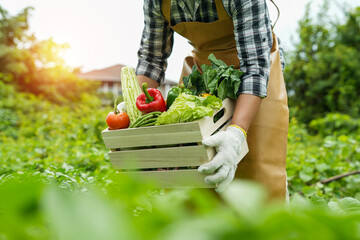 young man holding a box of vegetables