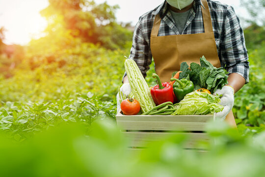 young man holding a box of vegetables