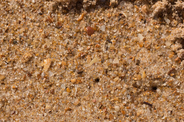 texture of tropical sand