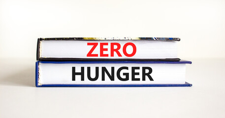 Zero hunger symbol. Concept words Zero hunger on books on a beautiful white table white background. Business, support and Zero hunger concept. Copy space.
