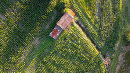 Vista aérea de drone sobre campos agrícolas 