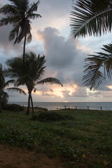 fantastic sunrise on the beach with palm trees