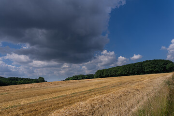 Abgeerntete Felder mit Wolkenhimmel  in Marburg