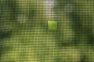 Hole in window mosquito net