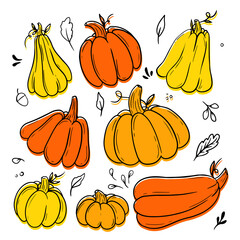 Collection Pumkins. Vegetable set. Doodle outline illustration.
