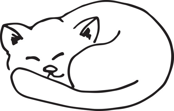 Hand drawn cat illustration