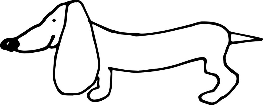 Hand drawn dog dachshund illustration