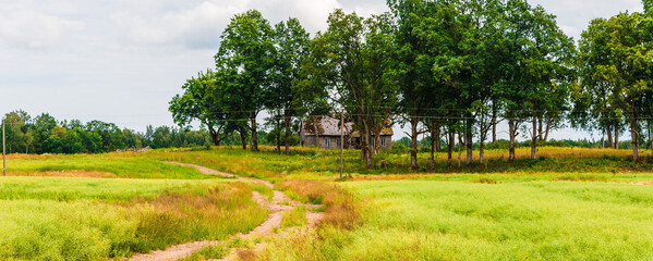 Abandoned old wooden house among the trees.There is an old road nearby.Rural summer landscape.A view from a distance.Web banner.