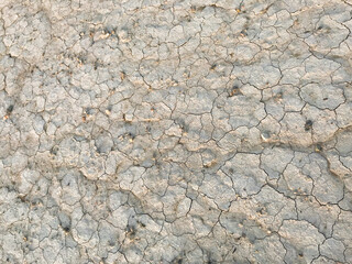 Dry cracked earth. Drought. The dried-up bottom of the lake. Abstract beige background. Copy space