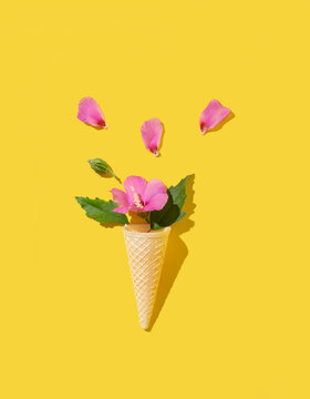 Ice cream cone and pink tropic flower, creative arrangement. Summer holiday layout.