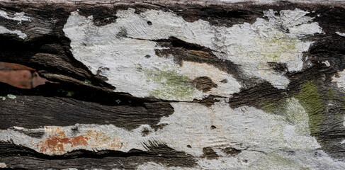 Old and weathered concrete wall grunge background texture