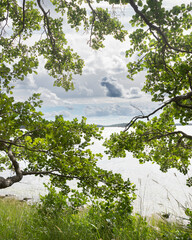 Summer landscape of Finland.
Natural frame seaview.