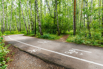 Sports marked bike path in the park. Asphalt path for running and walking in the forest