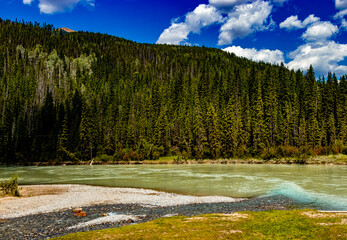 Finn Creek Yoho National Park British Columbia Canada