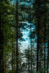 Kicking Horse River Yoho National Park British Columbia Canada