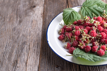 Fresh picked wild raspberries on a plate on wooden table