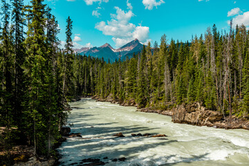 Kicking Horse River Yoho National Park British Columbia Canada