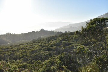 Mount Tamalpais Overlook Of Stinson Beach In Marin County California 