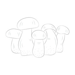 Mushroom coloring pages premium vector