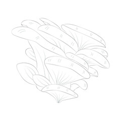 Mushroom coloring pages premium vector