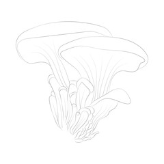 Mushroom coloring pages premium vector
