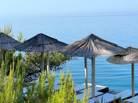 Summer morning on the beach with umbrellas in pine trees on the Mediterranean blue sea shore.