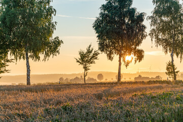 Obraz premium Der Tag erwacht 