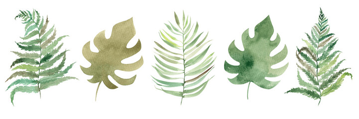 Watercolor set of green leaves of the tropical forest. Fern. Isolated on white background. Hand drawn.