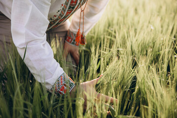 A man in Ukrainian embroidery touches wheat at sunset. Concept of preservation of Ukrainian grain,...