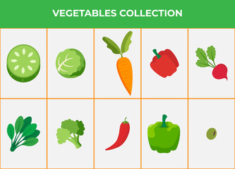 Set of flat vegetables vector. Icon set of healthy food. Vegetarian sign. Isolated on white background. Vector eps 10.