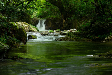 Obraz premium 新緑の渓流