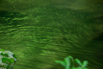 新緑の渓流