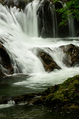 Fototapeta premium 新緑の渓流