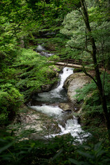 Obraz premium 新緑の渓流