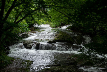 新緑の渓流