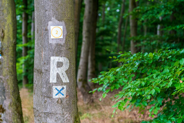 Symbol from the Rennsteig trail in the thuringian forest
